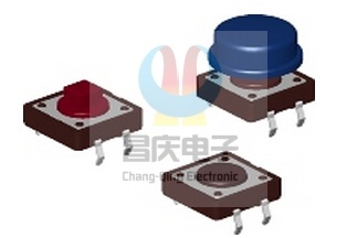 DTS-2 12×12mm