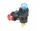 带灯按键开关PBL